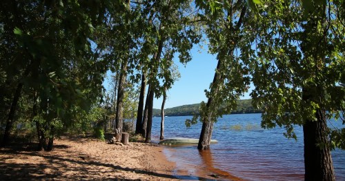 Afton State Park in the summer