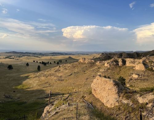 Panoramic view of plains and scattered trees.