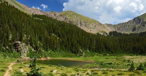 carsion national forest's large mountains, tall trees, and grassy fields