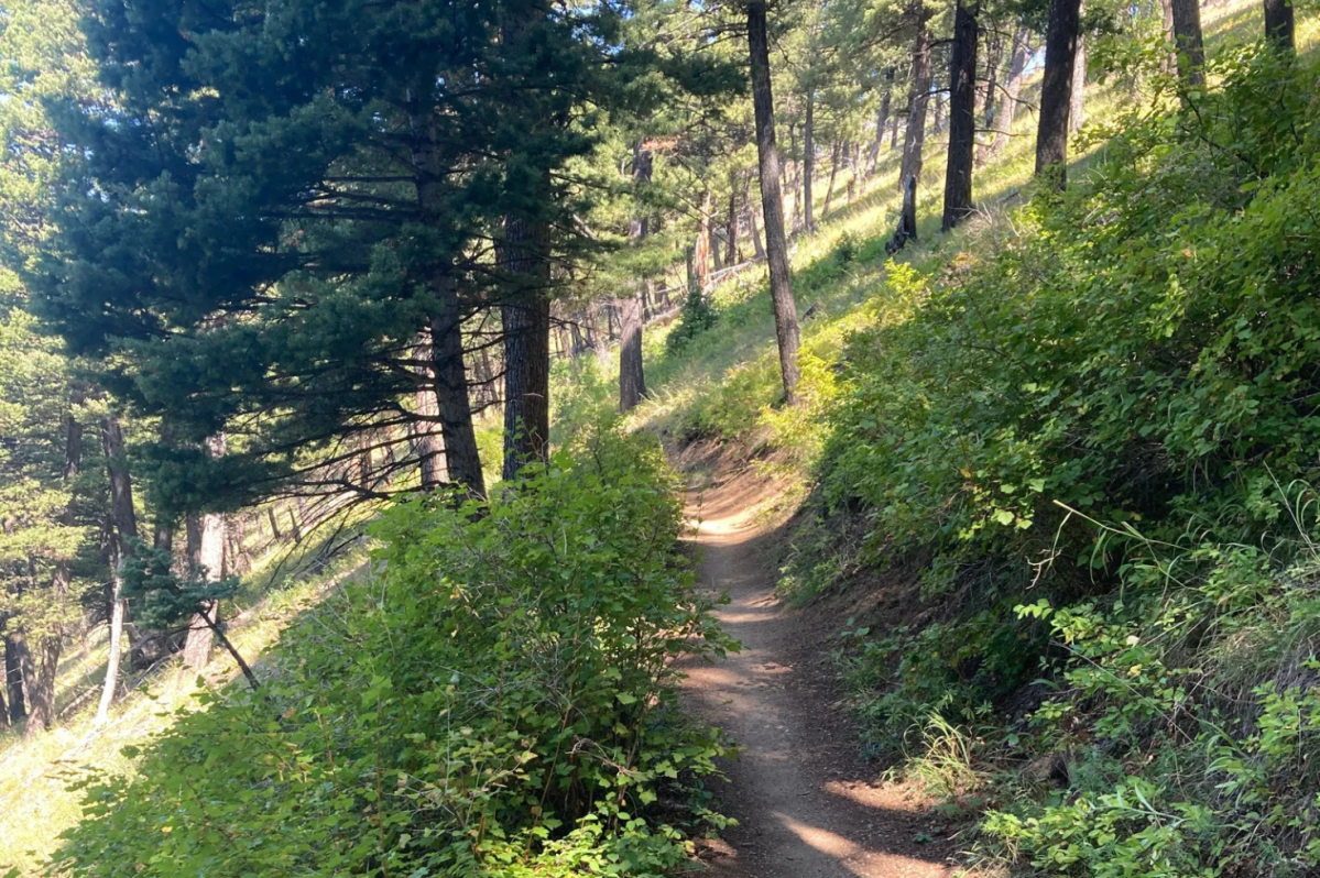 You’ll Be Pleasantly Surprised by This Extra Sweet Trail in Montana