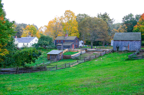 Historic buildings surrounded by fall foliage