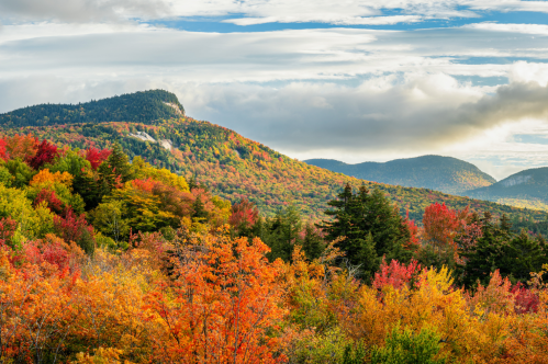 Breathtaking fall foliage on the mountain as seen from Sugar Hill Overlook in NH.