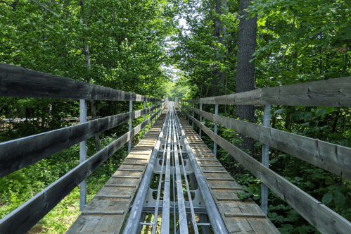 Perspective from the mountain coaster at Cranmore Mountain Adventure Park on a late summer day