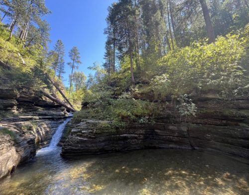 A small waterfall flowing into a small pond surrounded by short cliffs and forest.