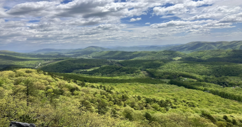 Rolling hills and lush vegetation from a scenic overlook in Virginia.