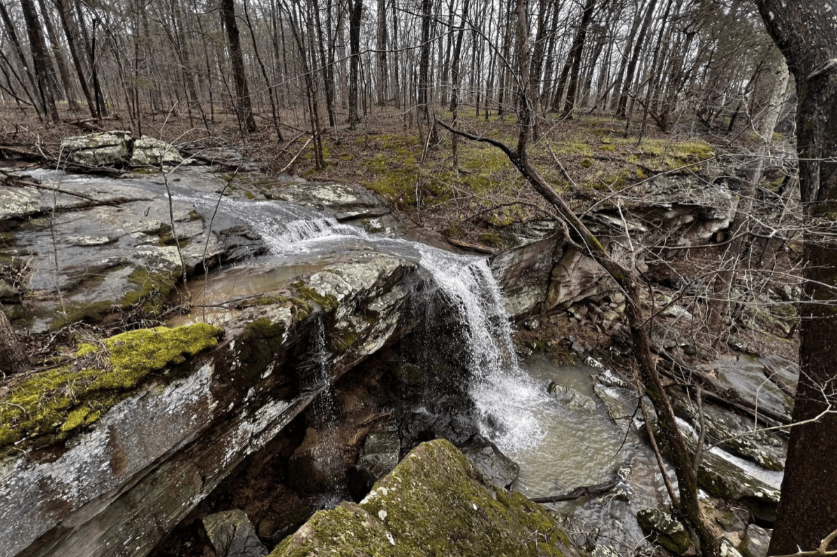 5 Underrated National Forest Hikes in Illinois That Rival National Parks