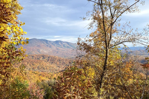 Mountain view with fall foliage on a cloudy day