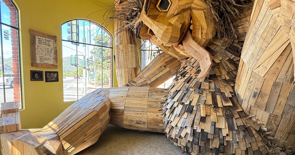 Featured-Image-Size-14.png?w=1200