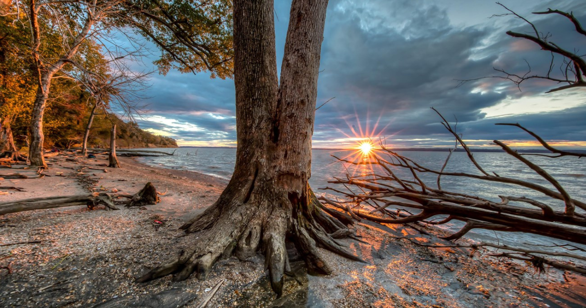 Get to Know America’s National Scenic Trails