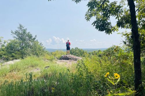 A man standing on an overlook in a forest in the Ozarks.
