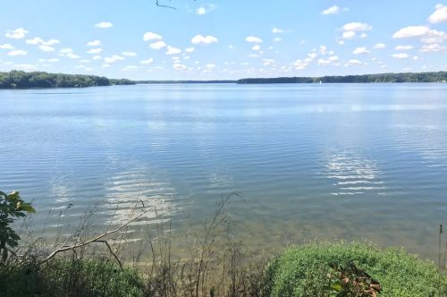 A blue lake surrounded by green forest.