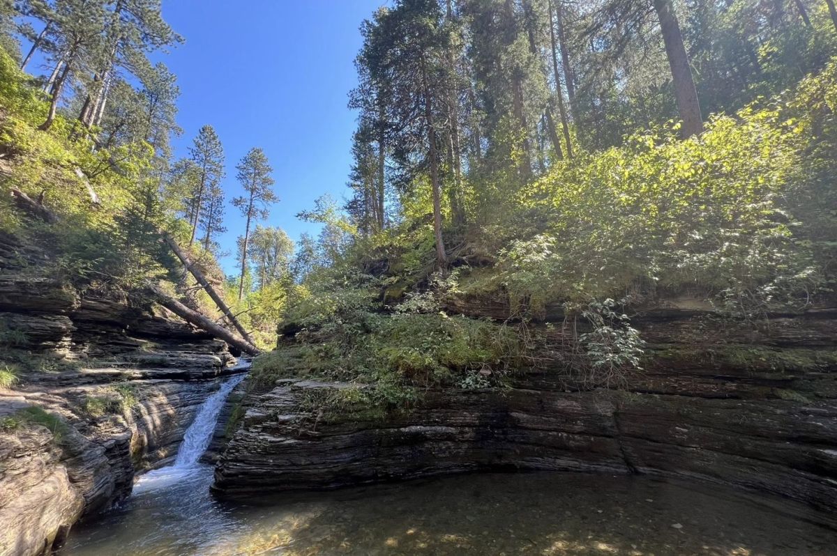 Underrated National Forest Hikes in South Dakota That Rival the Skyline Trail Loop