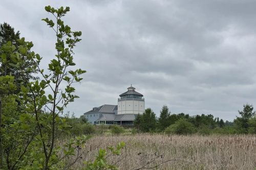 A forested landscape with a visitor center in the background.