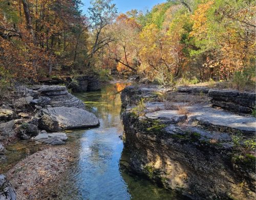 A river running between small stone bugs and a colorful forest.