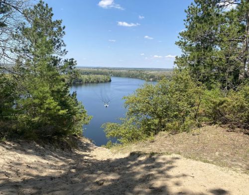 View of a wide river with a small boat floating on it from atop a forested hill.