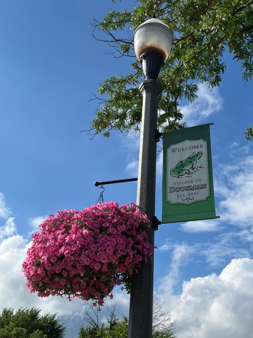 Green and white frog flag on a black light pole