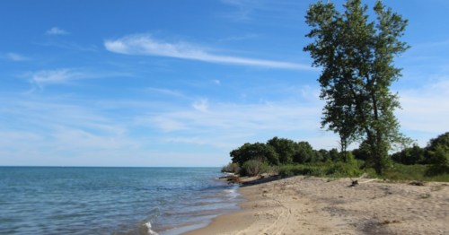 The shore at Illinois Beach State Park