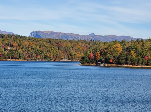 A large lake with a thick tree line in the fall.