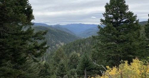 A beautiful view from the Leverich Canyon Trail in Montana.