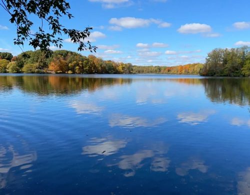 A lake with clouds reflected on the water surrounded by trees.