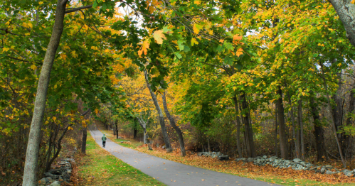 a person wearing a hoodie walking on a paved path surrounded by fall foliage through colt state park in bristol, rhode island