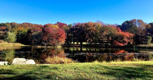 a grassy area in the foreground leads the eye to a pond with trees with fall colors in the background at mount hope farm in bristol ri