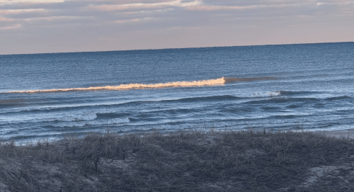 The beachfront at Kohler-Andrae State Park