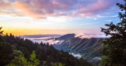 The smoky mountains near Gatlinburg that feel just like the Alps