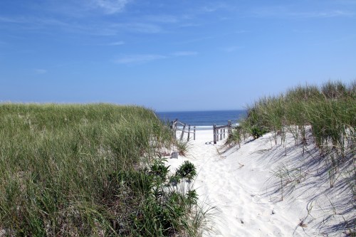 Path to beach on Island Beach State Park, New Jersey