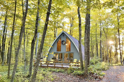 The teal Beechwood Cottage surrounded by trees with four yellow chairs on the front deck.