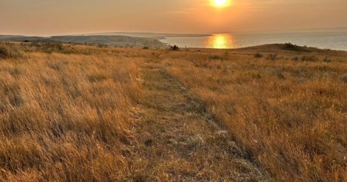 Yellow prairie grass surrounding a brown, dirt path with a golden sunset in the background