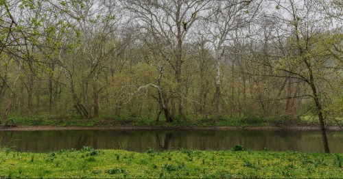 Brandywine Creek State Park in the early summer