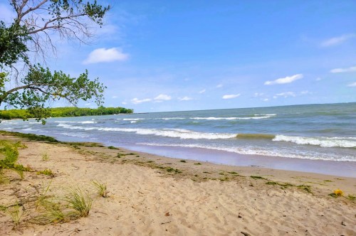 Views of the sandy shores at Kelley's Island State Park, the best beach state park in Ohio, with rolling waves and a tree-lined shoreline in the distance.