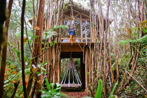 A guest stands on the balcony of a secluded treehouse in Hawaii, built on stilts in a dense, lush, green jungle with a hanging swing bed below and surrounded by bamboo.