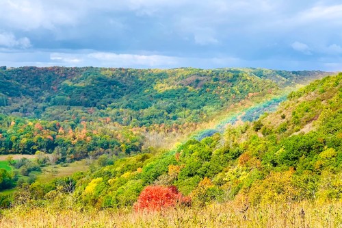 Photo source: https://www.alltrails.com/trail/us/minnesota/great-river-bluffs-trail-and-kings-bluff-loop/photos