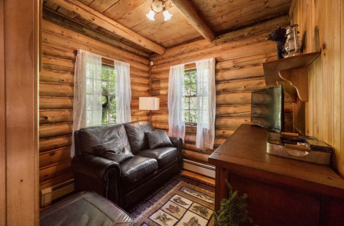 Rustic TV room in a log cabin in Maine