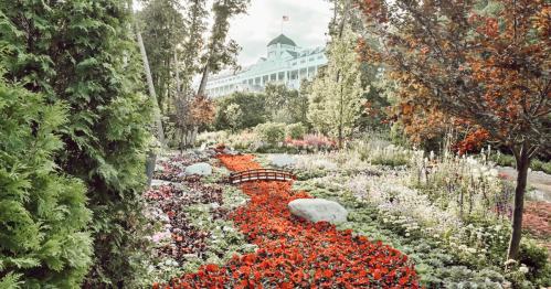 The bright white Grand Hotel in the background with a river of red flowers down the center surrounded by flowers of all colors including purple and white