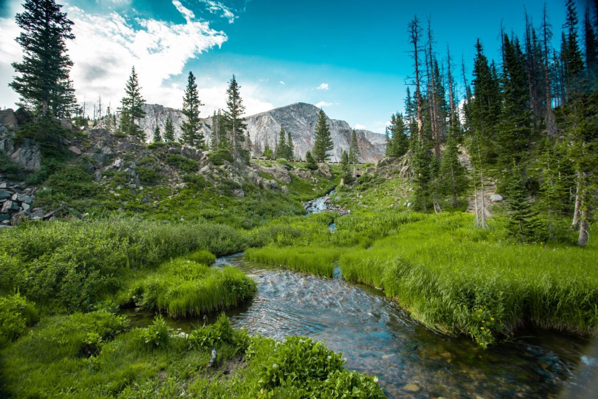 This Riverfront Town in Wyoming Feels Like a Hidden European Destination