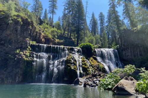 A flat-topped, wide waterfall drips over mossy stones and falls into a deep swimming hole. An evergreen forest sits on the hill behind.