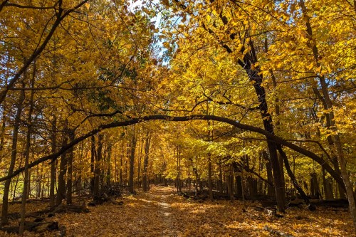 Photo source: https://www.alltrails.com/trail/us/iowa/point-ann-trail/photos