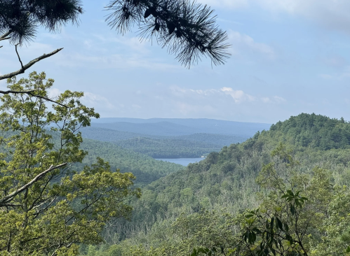 Hills full of forests partially cover a view of a lake.