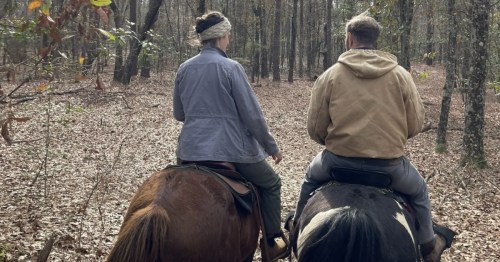 Two people horseback riding on a trail at Lee State Park in South Carolina.