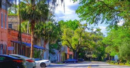 View of downtown Micanopy, FL, with a street lined with palm trees, oak trees draped with Spanish moss, and historic buildings with cars parked outside.