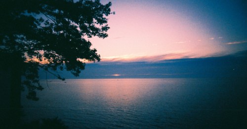 A grainy sunset over Lake Michigan in New Buffalo, Michigan, with a dark tree silhouette framing pink and blue skies.