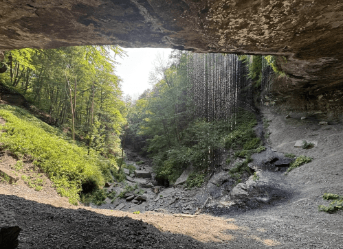 Inside a cave looking out, a waterfall drips lazily over the end, and the green forest surrounds a mostly empty stream beyond.