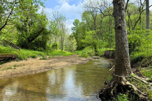 The trail leads along Archer's Creek.