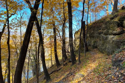 Photo source: https://www.alltrails.com/trail/us/wisconsin/old-immigrant-trail-and-bluff-trail-loop/photos