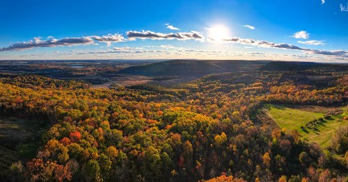 Fall trees with blue sky