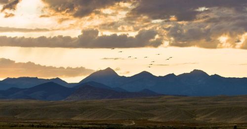 A flock of birds flies over rolling plains and silhouetted mountain peaks at sunset under a dramatic, cloud-filled sky.