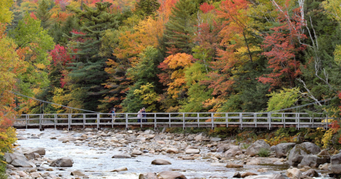 A colorful fall view of people walking across a bridge above the Pemigewasset River in Lincoln, New Hampshire.